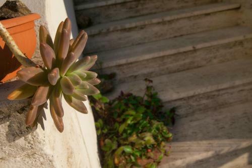 Villino Erminia - Bed And Breakfast & Residence