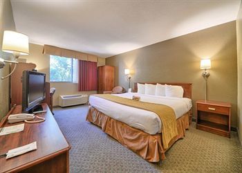 Hotel Quality Inn Hyde Park