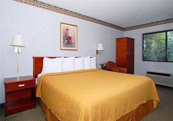 Hotel Quality Inn Hyde Park