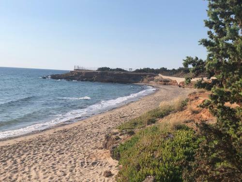 Apartamento Artemis House