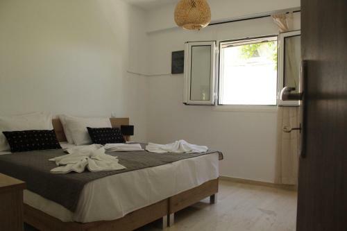 Teacher's Apartment