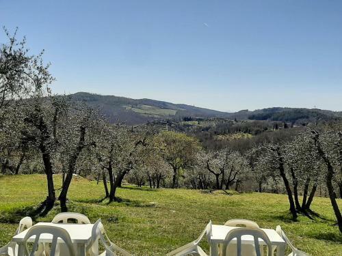 Casa Il Mandorlo Nel Chianti