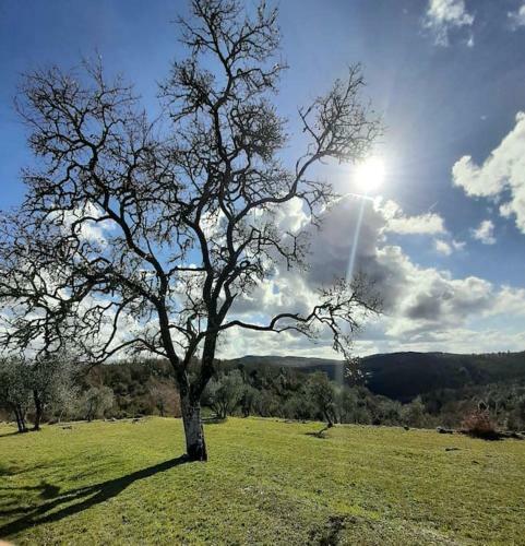 Casa Il Mandorlo Nel Chianti
