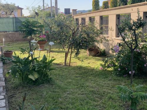 Apartamento Dante 2