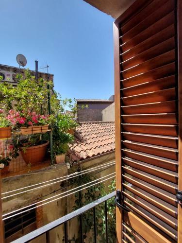 Casa Petra