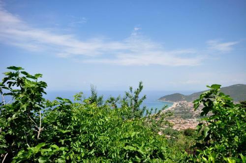 Apartamento Castellabate House