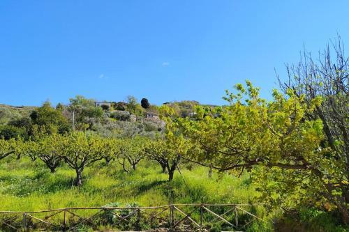 Casa Vacanze Il Vigneto: Tra Mare E Natura 2