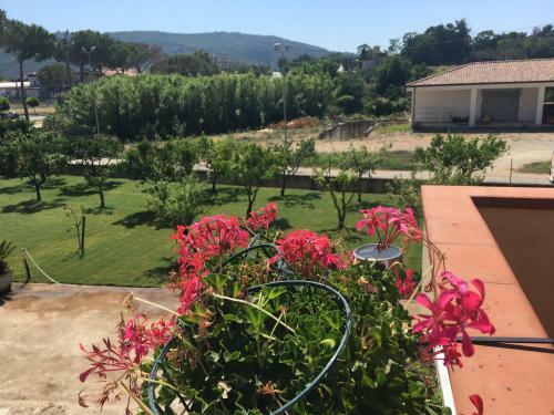 Bed & Breakfast La Casa Di Nonna Anna