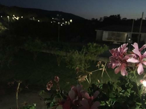 Bed & Breakfast La Casa Di Nonna Anna