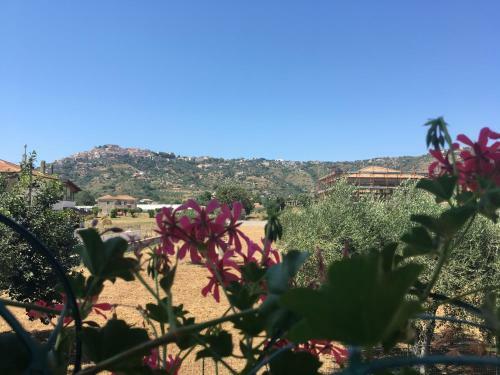 Bed & Breakfast La Casa Di Nonna Anna