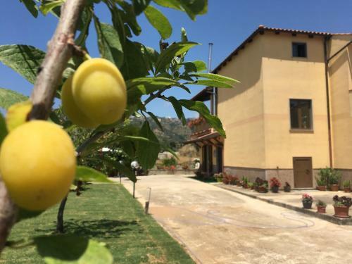 Bed & Breakfast La Casa Di Nonna Anna