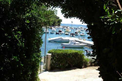 Apartments Malvina