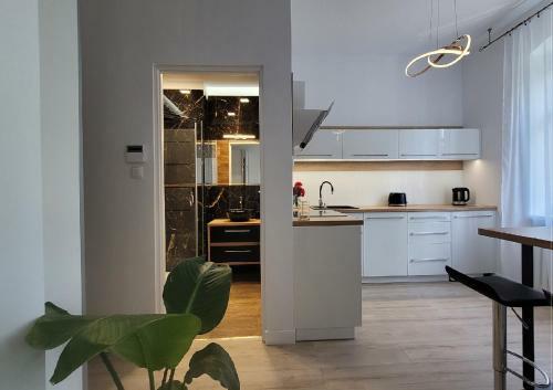 Good Day Apartment 2 Centrum Katowice
