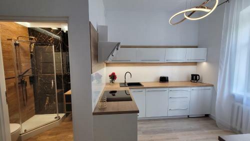 Good Day Apartment 2 Centrum Katowice