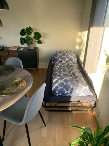 Modern Apartment Short Walk From City