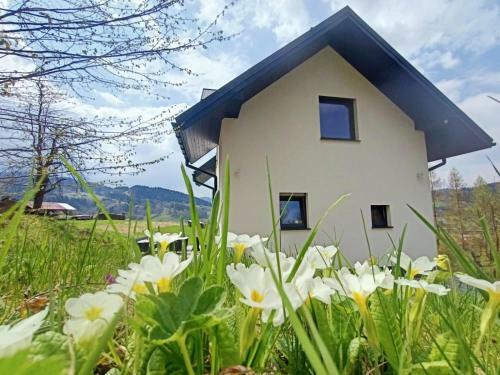 Domek W Malowniczych Pieninach