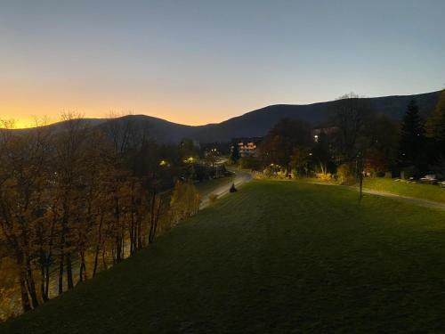 Kamilkowy Apartament