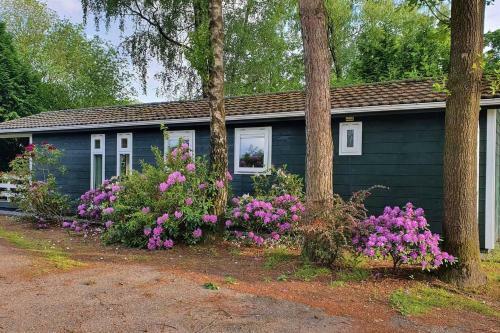Veluwse Recreatiewoning Op Kindvriendelijk Park