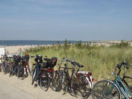 Apartamento Appartement Walvis Nr. 22