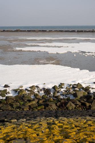 Apartamento Appartement Walvis Nr. 22