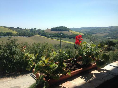 Agroturismo Agriturismo Cignale