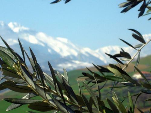 Agroturismo Agriturismo Cignale
