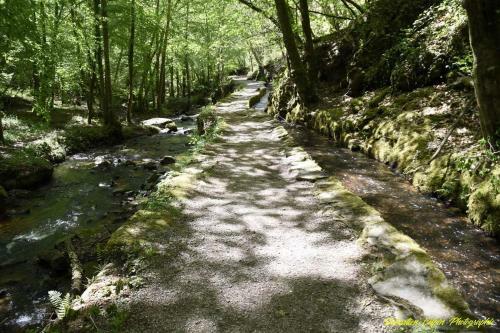 B&B Le Saut De La Berg�re