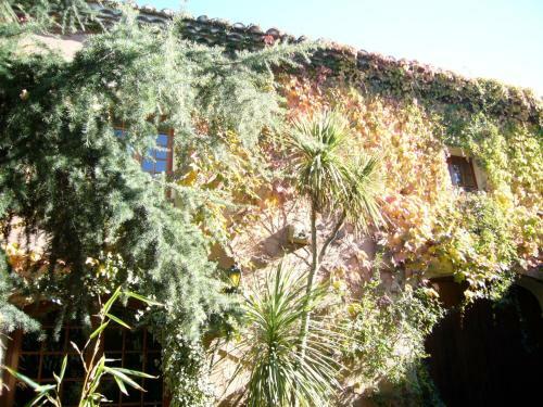 Hotel La Passiflore