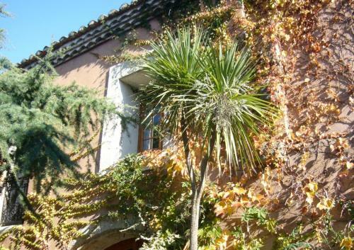 Hotel La Passiflore