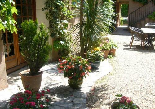 Hotel La Passiflore