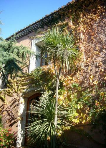 Hotel La Passiflore