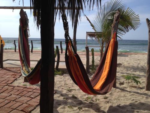 Hotel Waltako Beach Culture
