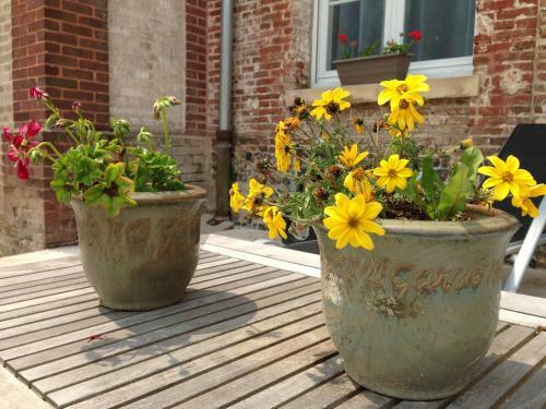 Bed & Breakfast Les Chambres Du Chateau De Gr�ges