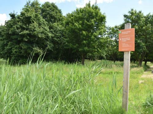 Welcoming Holiday Home In Zeewolde With Garden