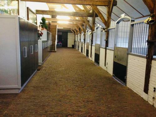 Apartamento Perseverance Bed & Horse Stables