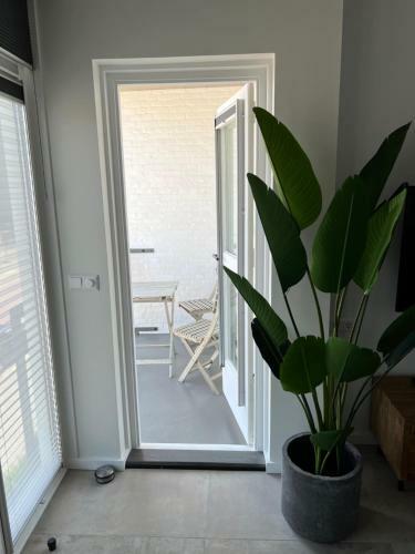 Apartamento Casa Del Cisne 3