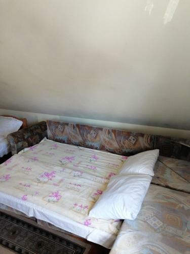 Hostal Fodor Vend�gh�z