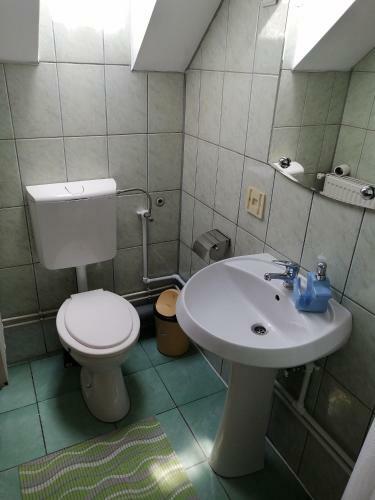 Hostal Fodor Vend�gh�z