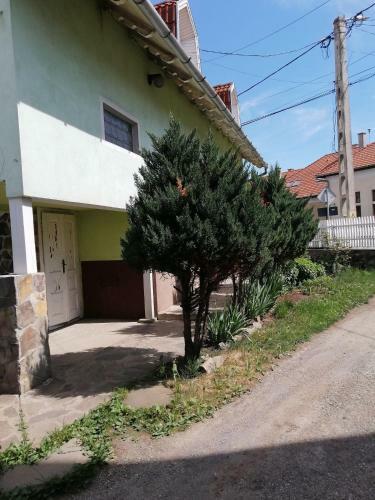 Hostal Fodor Vend�gh�z