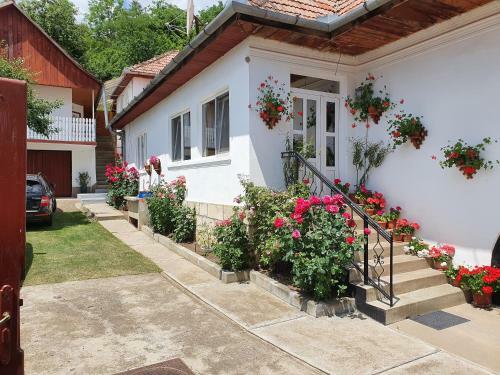 Bed & Breakfast R�zsa Panzi�