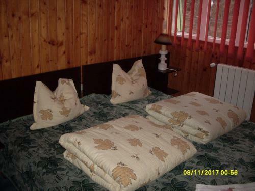Hostal Pensiunea Bors Ioan