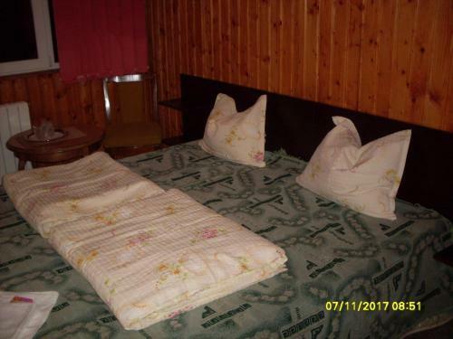 Hostal Pensiunea Bors Ioan