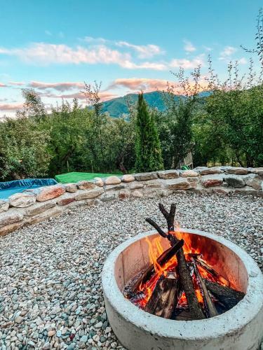 Bed & Breakfast Elysian Fields - The Island Tiny House