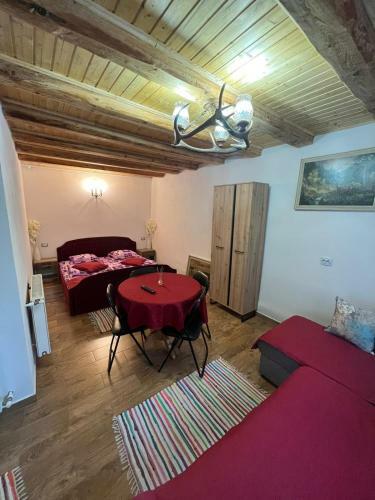 Apartamento Studio Ioana 2