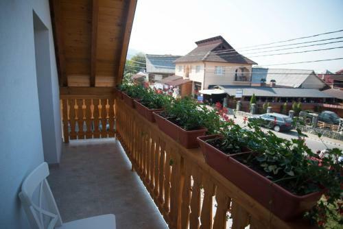 Hostal Floare De Colt Sapanta