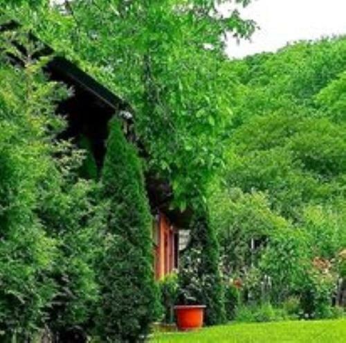 Casa Alex