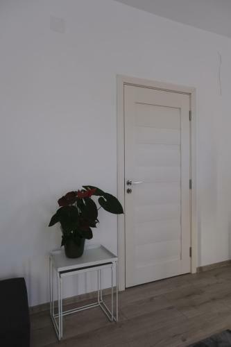 Solomon Apartments Ap 1