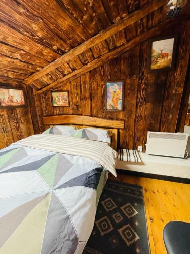 Hostal Cabana Vanatorului 8