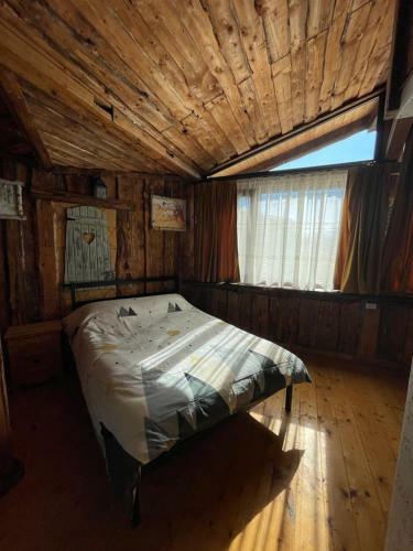 Hostal Cabana Vanatorului 8