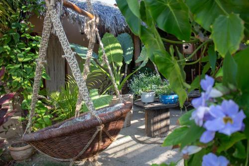 Hotel Coco-knots Hostel, B&b- Ilha Do Guajiru